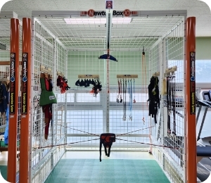 뉴튼박스 스파이더